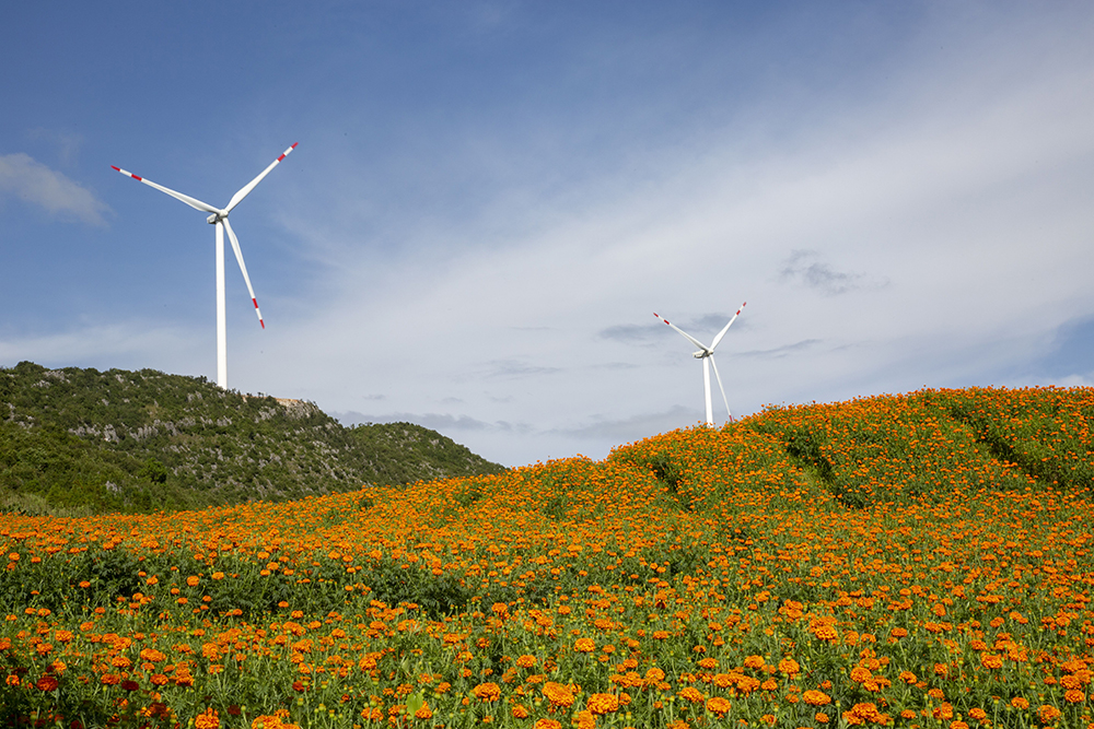 1703559612647037633.jpg 微信图片_202312230912391a.jpg